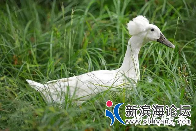 微信图片_20200918092126.jpg
