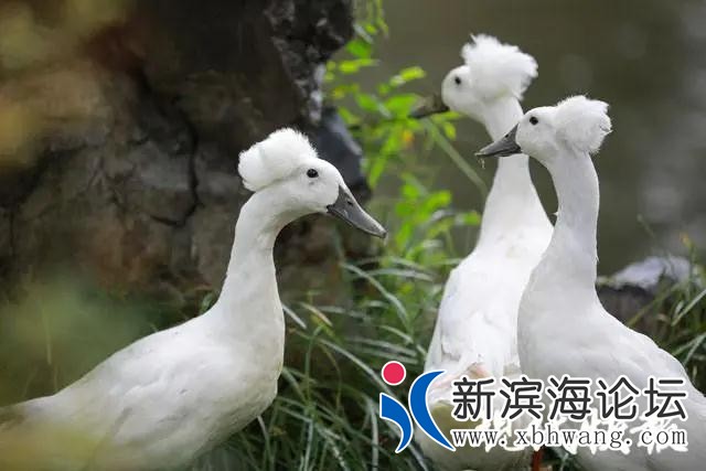 微信图片_20200918092129.jpg
