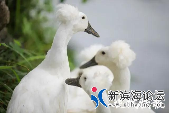 微信图片_20200918092131.jpg