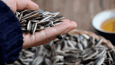 微信图片_20200919092002.gif