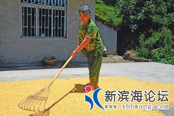 微信图片_20200921081656.png