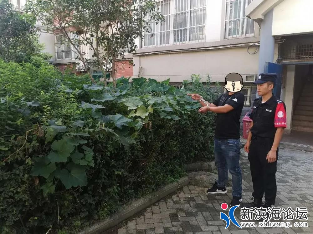 微信图片_20200922080046.jpg