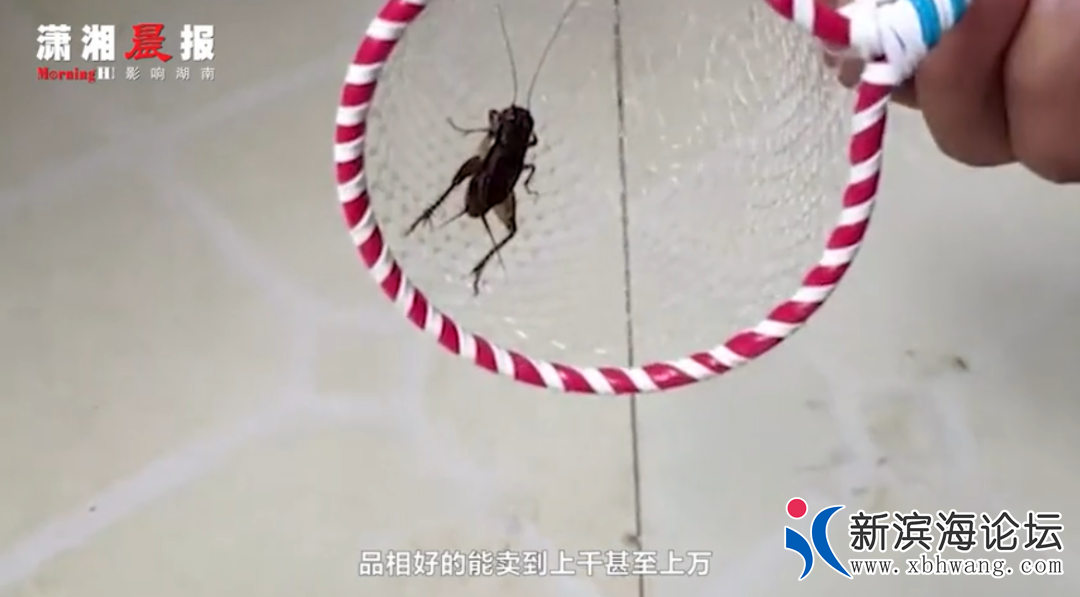 微信图片_20200922140105.png