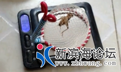 微信图片_20200922140109.png