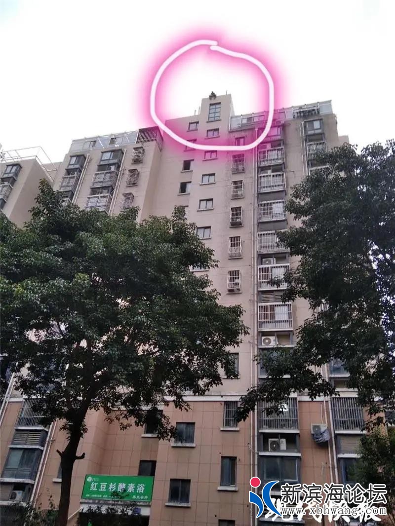 微信图片_20200928091656.jpg