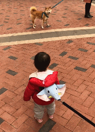 20201023_96622_1603434729070.gif