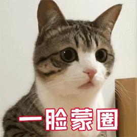front2_0_Fthwpg152JmcWzCxgmCHWs7lHxNb.1604280048.gif