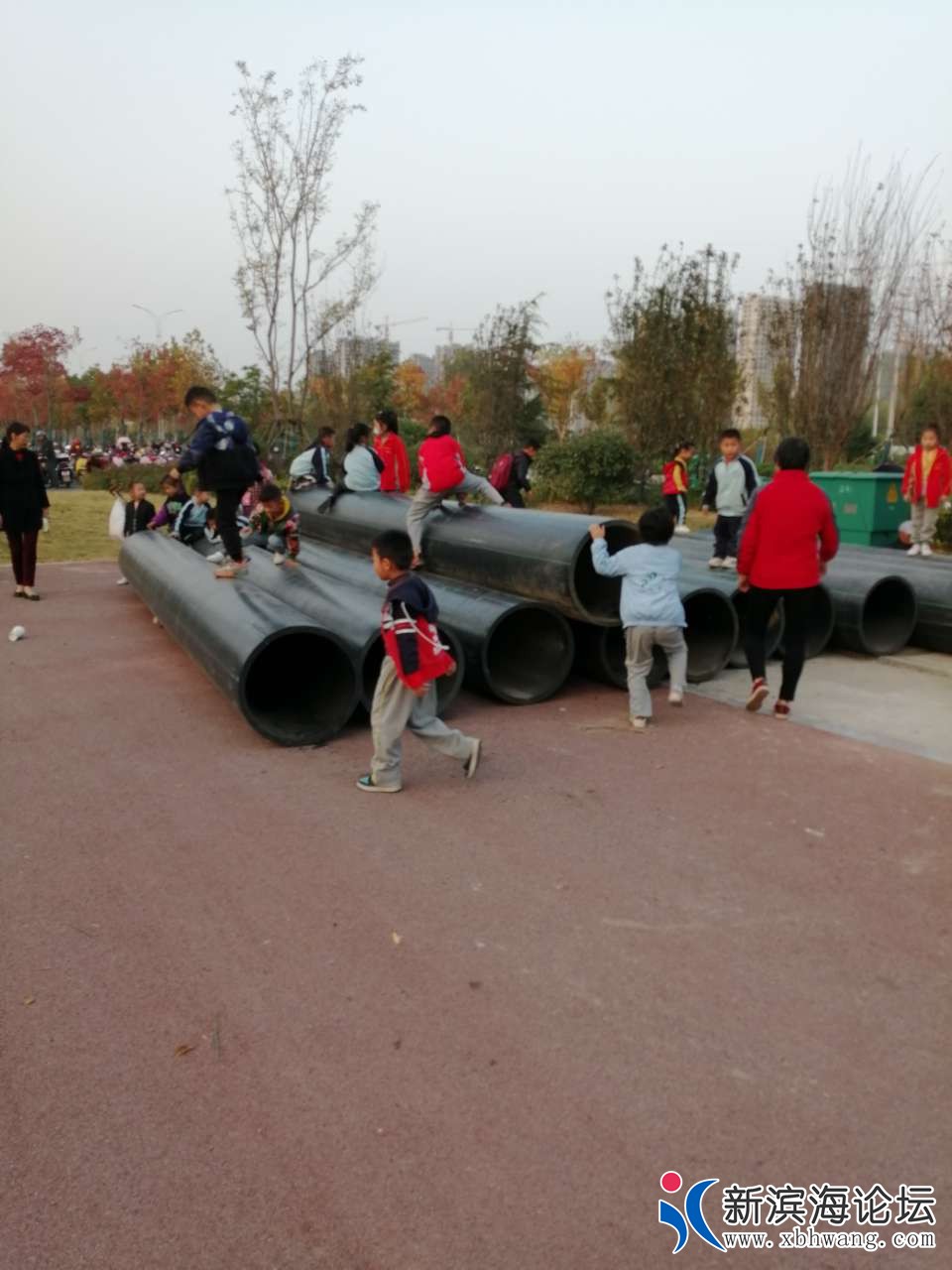 20201102_41871_1604308027444.jpg