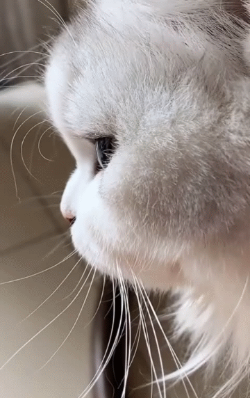 20201106_96622_1604671853010.gif