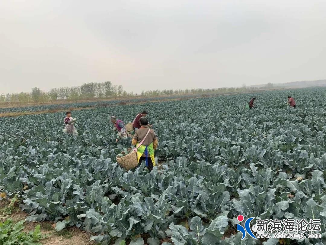 微信图片_20201112101134.jpg