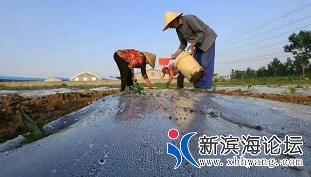微信图片_20201122095904.jpg