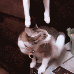 20201124_96622_1606171519937.gif