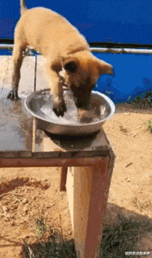 20201124_96622_1606202091948.gif