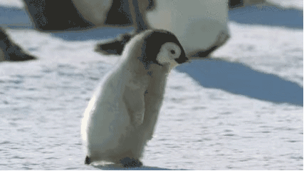 微信图片_20201125085930.gif