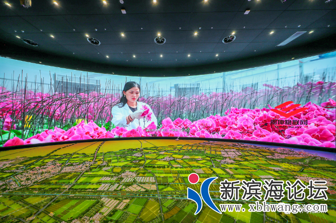 微信图片_20201128085336.png