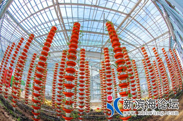 微信图片_20201128085337.png
