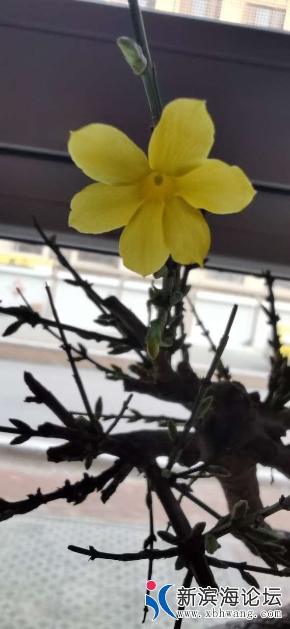 20201210_45669_1607549447852.jpg