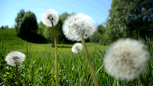 20201215_45669_1607991492021.gif