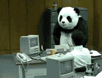 front2_0_FgCgApUtxOHKTKOkLLafOXg4PHLY.1608097394.gif