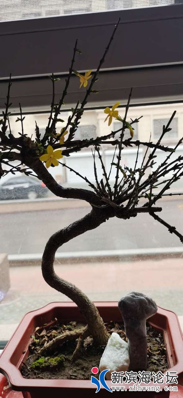 20201218_45669_1608247279864.jpg