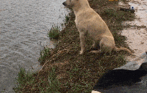 front2_0_FlhZSB6pD4rbC0eOEs0J4mbAB0ES.1608791097.gif