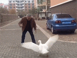 front2_0_FtXGFfb7zVeVaqFXLAxG-wF4CCfl.1608851841.gif