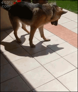 front2_0_FuZ8EB5xodGdBuW3QIlpYwsPOk9u.1608968329.gif