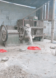 front2_0_FplzvLQNj1bfTb6oR4XBOJzKlgIV.1609634971.gif