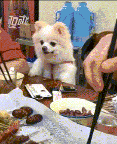front2_0_FnzOVm62g9uaqu1OTAVNj0C0sHXw.1611390283.gif