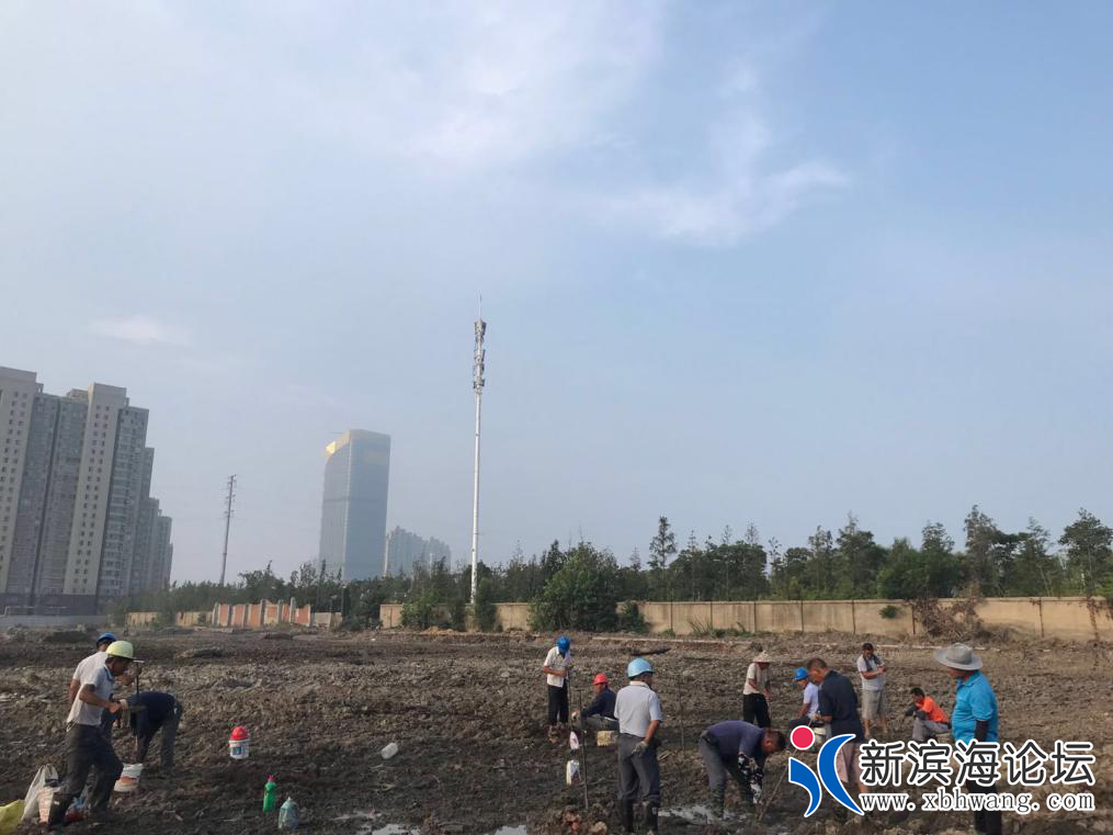 微信图片_20210208160554.png