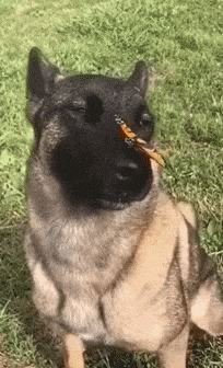front2_0_FuceiMpyopDIAE055n3JX9Zz_3Ia.1614918536.gif