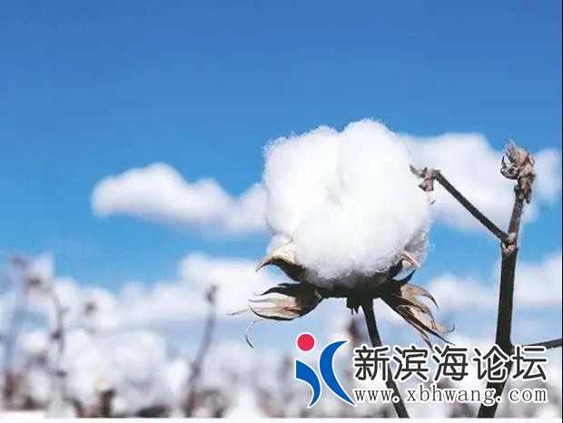 微信图片_20210325140547.jpg
