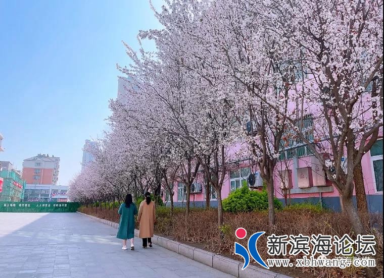 微信图片_20210411092109.jpg