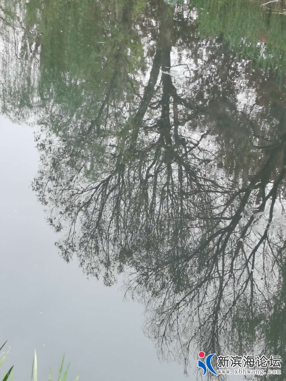 20210412_68521_1618201958810.jpg