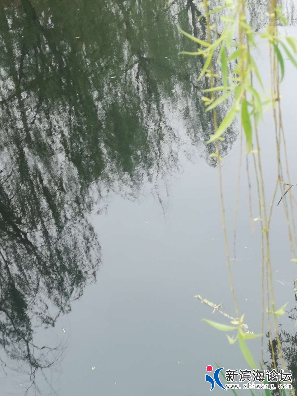 20210412_68521_1618201958956.jpg