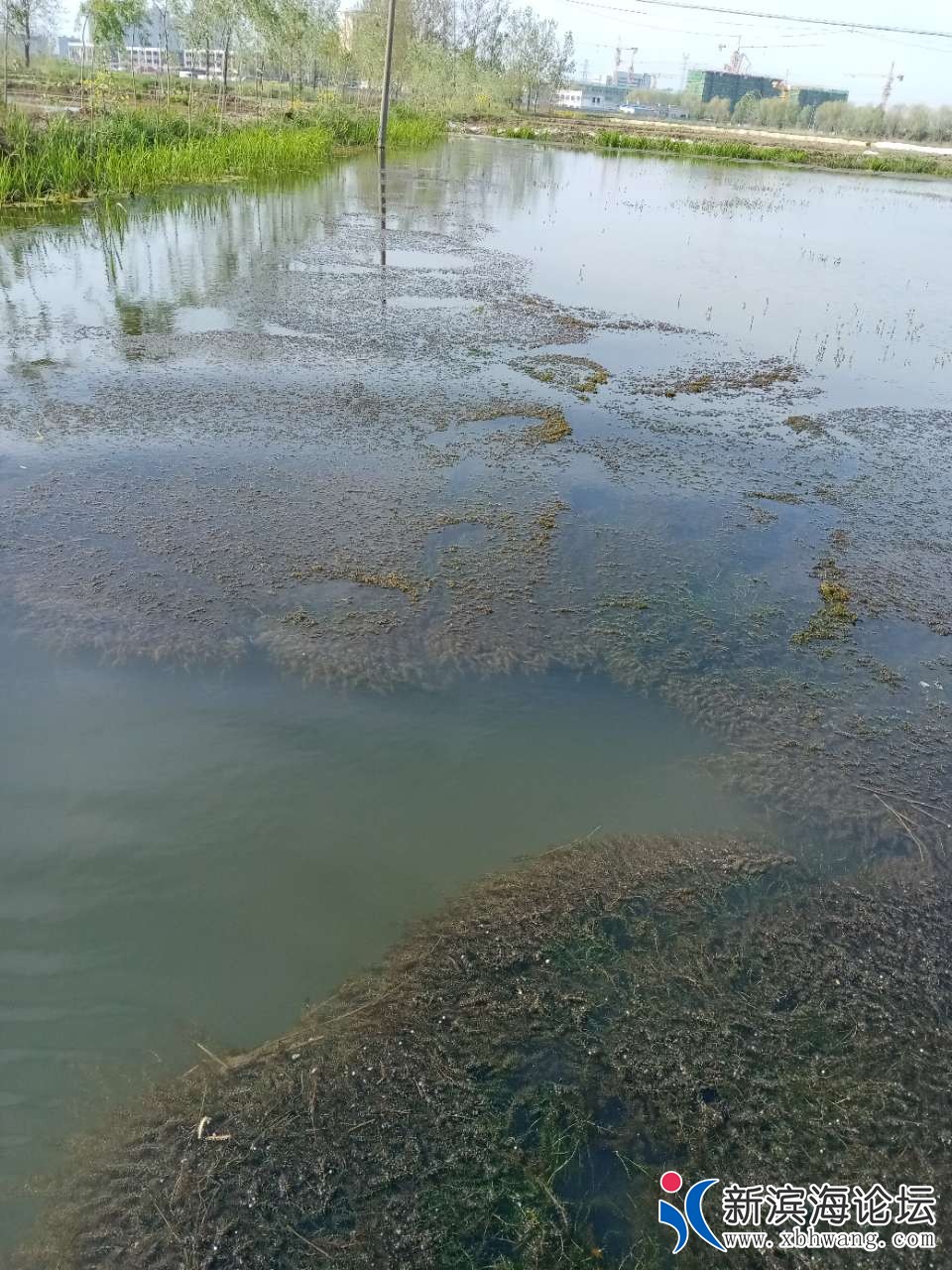 20210415_89883_1618447139822.jpg