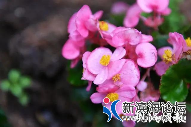微信图片_20210426143408.jpg
