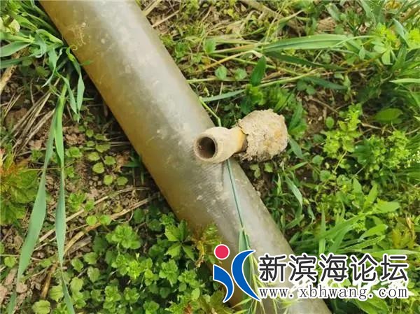微信图片_20210427150611.jpg
