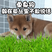 front2_0_FhTk-XqqDM9L2ksCY49Z_2ZlSrbM.1620739432.gif