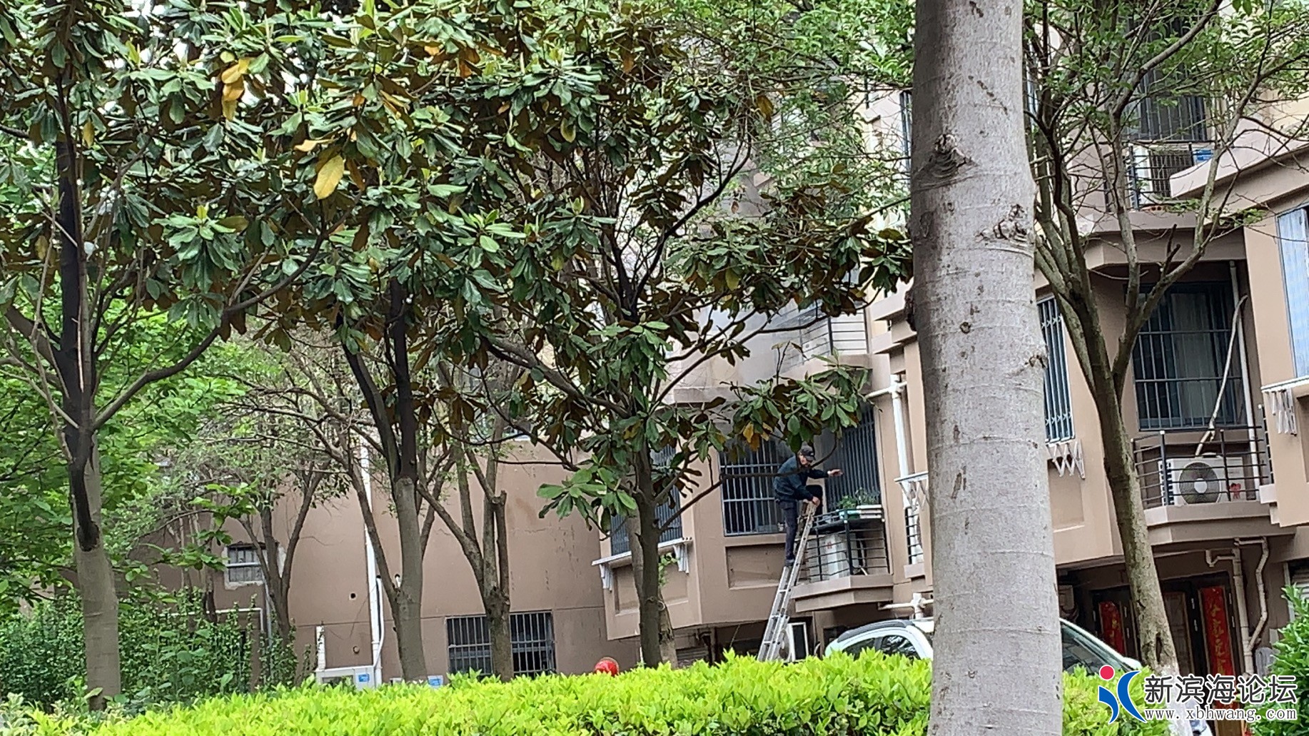 微信图片_20210512173001.jpg