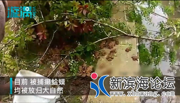 微信图片_20210517091453.png