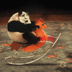 front2_0_Fh3mcW1jNAKEkl2SzYDRMX7J036F.1621233037.gif