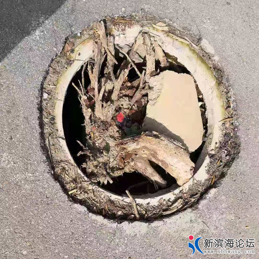 20210524_24672_1621834830325.png