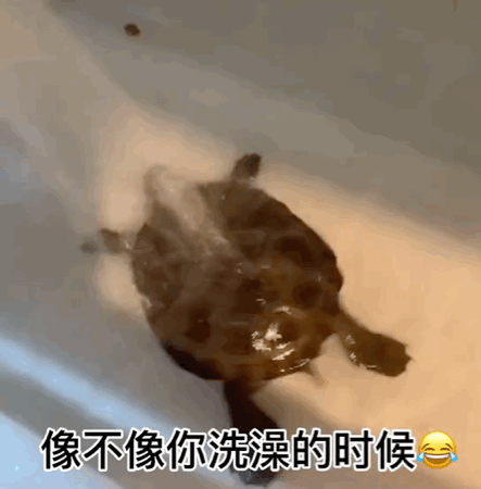 front2_0_FktdqFMlbnuM115wcgy28c2HoMQ1.1622159275.gif