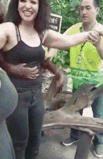 front2_0_FpwEgiMuTb0V30aSQmHRrcW1FkG1.1622185581.gif