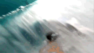 front2_0_FlynnHHYMSqz4GNpKSKuquA1mz72.1626684727.gif
