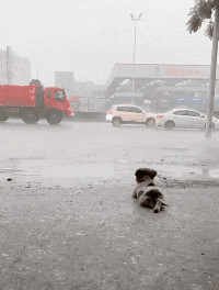 front2_0_FvU-p-a0gi3UxiO3IdJh1Rvus4-9.1627475381.gif