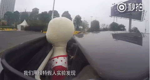 5.gif