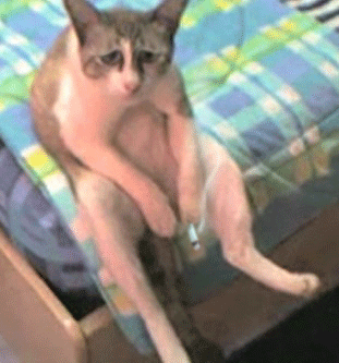 front2_0_FkekHdjKKwzD61eb2My-28l2mIUA.1631106339.gif