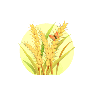 1.gif